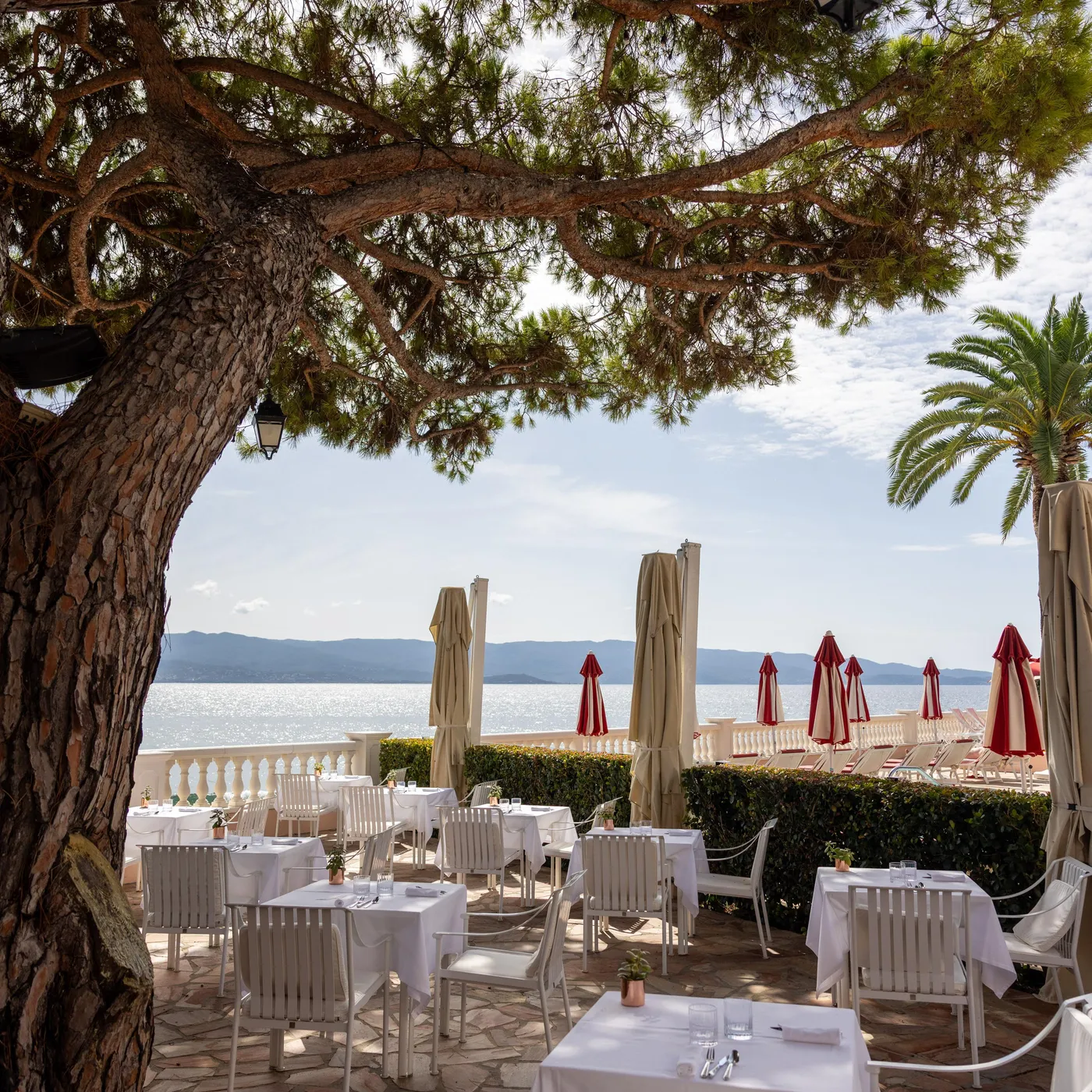 Restaurant terrace by the sea with tables covered in white tablecloths and closed red umbrellas