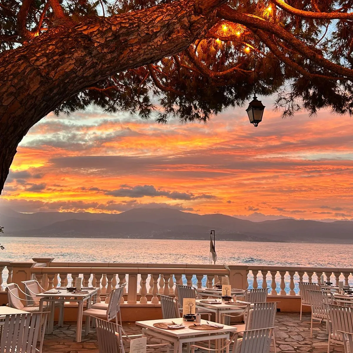 Terrasse de restaurant avec tables et chaises face à un lac et à un coucher de soleil, décorée de guirlandes lumineuses et d'un arbre
