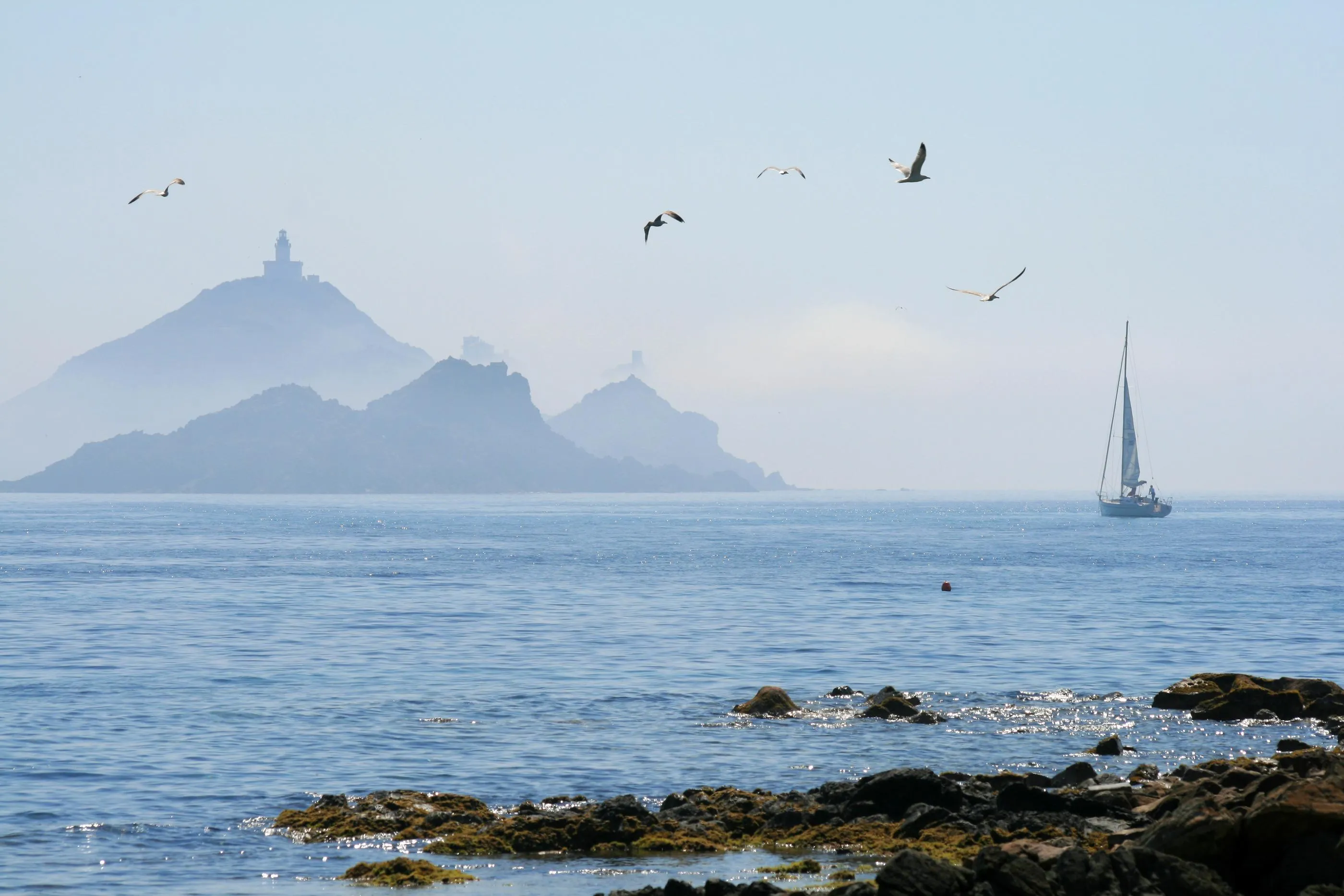 Eine Segelyacht fährt auf ruhigem Meer mit Inseln und Leuchttürmen im Hintergrund, Möwen fliegen über dem Wasser und mit Algen bedeckte Felsen sind im Vordergrund zu sehen.